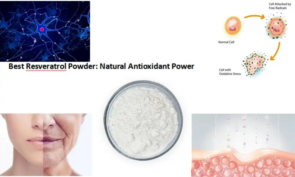 Best Resveratrol Powder: Natural Antioxidant Power